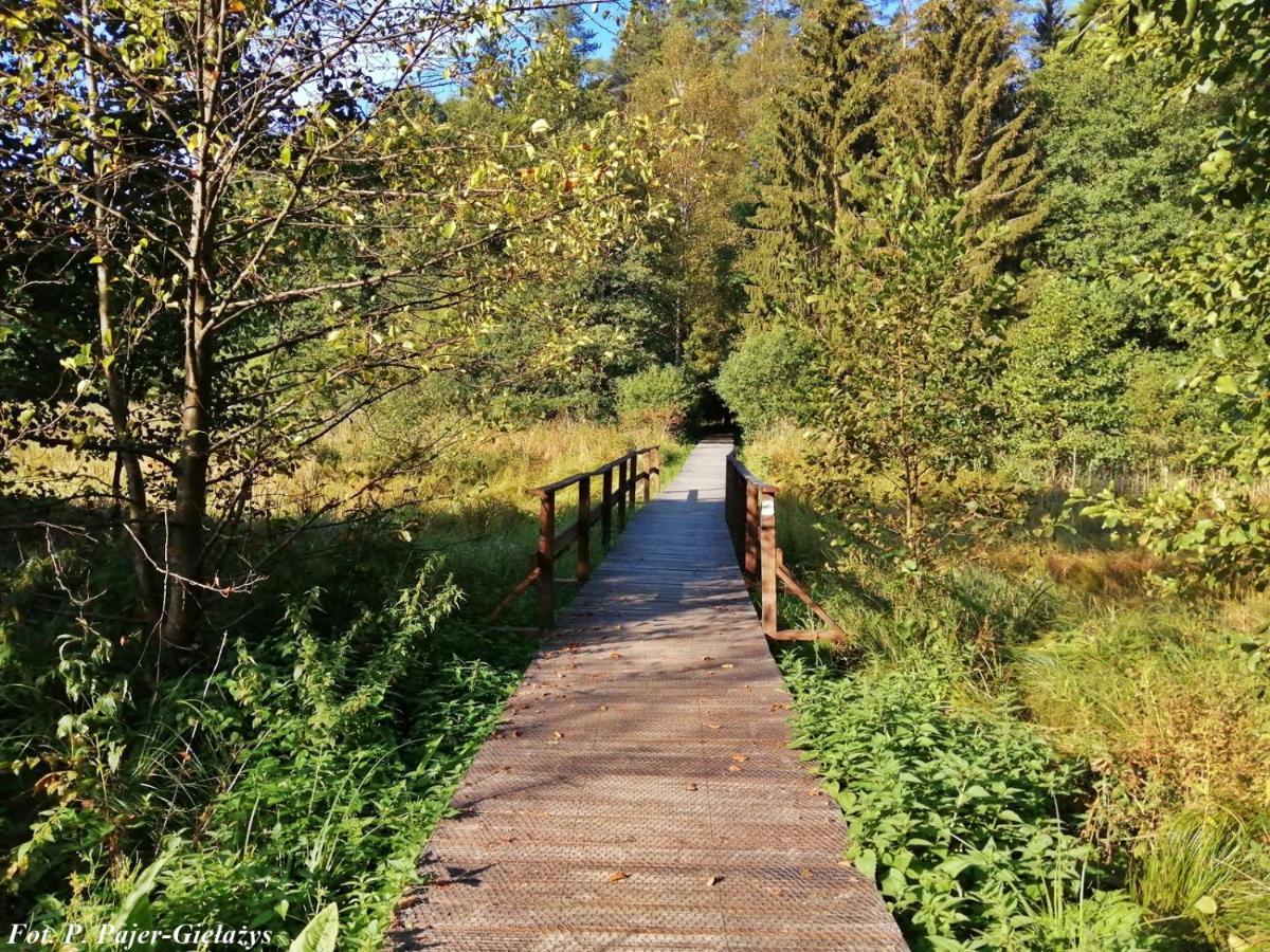 Wigierski Park Narodowy Suwalki Ngoại thất bức ảnh